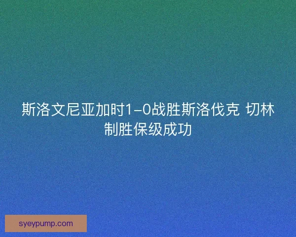 斯洛文尼亚加时1-0战胜斯洛伐克 切林制胜保级成功 斯洛文尼亚加时1-0战胜斯洛伐克 切林制胜保级成功