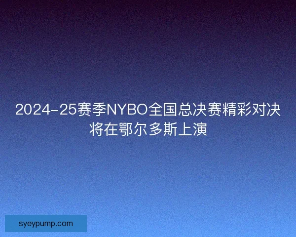 2024-25赛季NYBO全国总决赛精彩对决将在鄂尔多斯上演