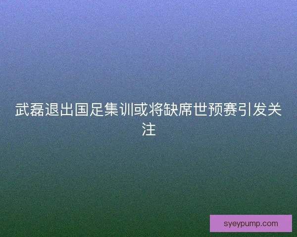 武磊退出国足集训或将缺席世预赛引发关注 武磊退出国足集训或将缺席世预赛引发关注