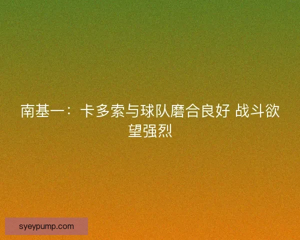 南基一：卡多索与球队磨合良好 战斗欲望强烈